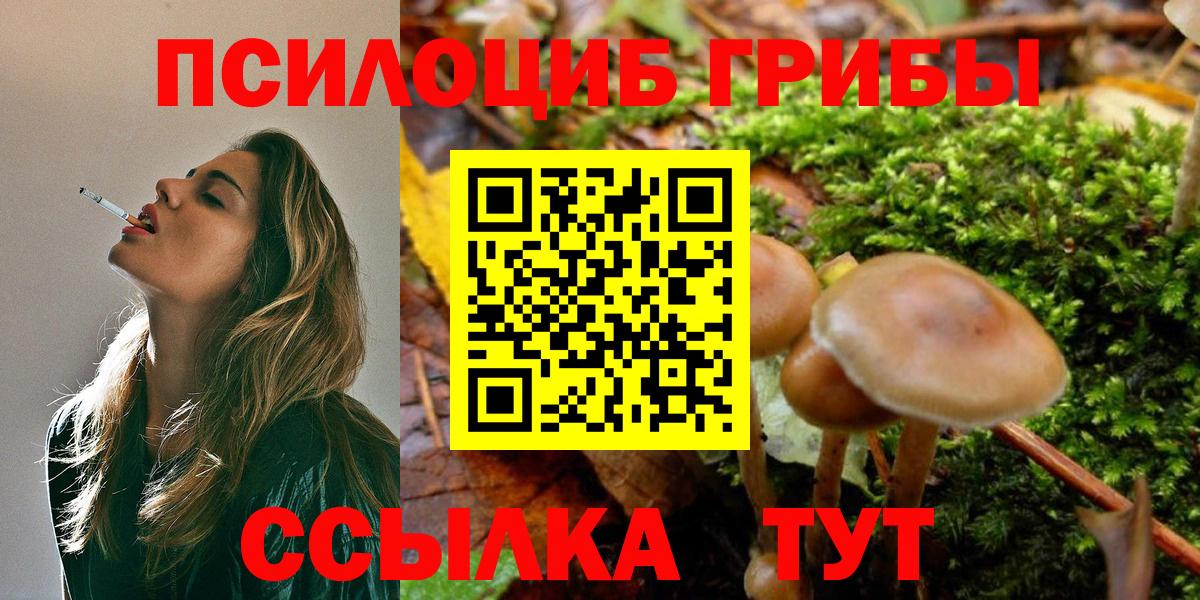 Нефтекамск  Псилоцибиновые грибы Psilocybe  Галлюциногенные грибы Psilocybe  Вход с VPN 